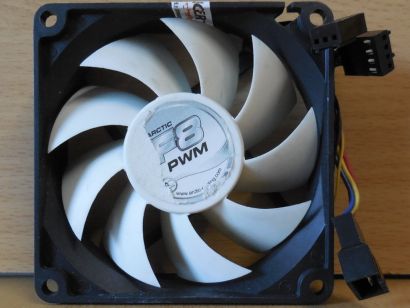 Arctic Cooling F8 PWM PST Gehäuse Lüfter 80mm 12V 0.15A 4-pol FAN 31cfm* GL176